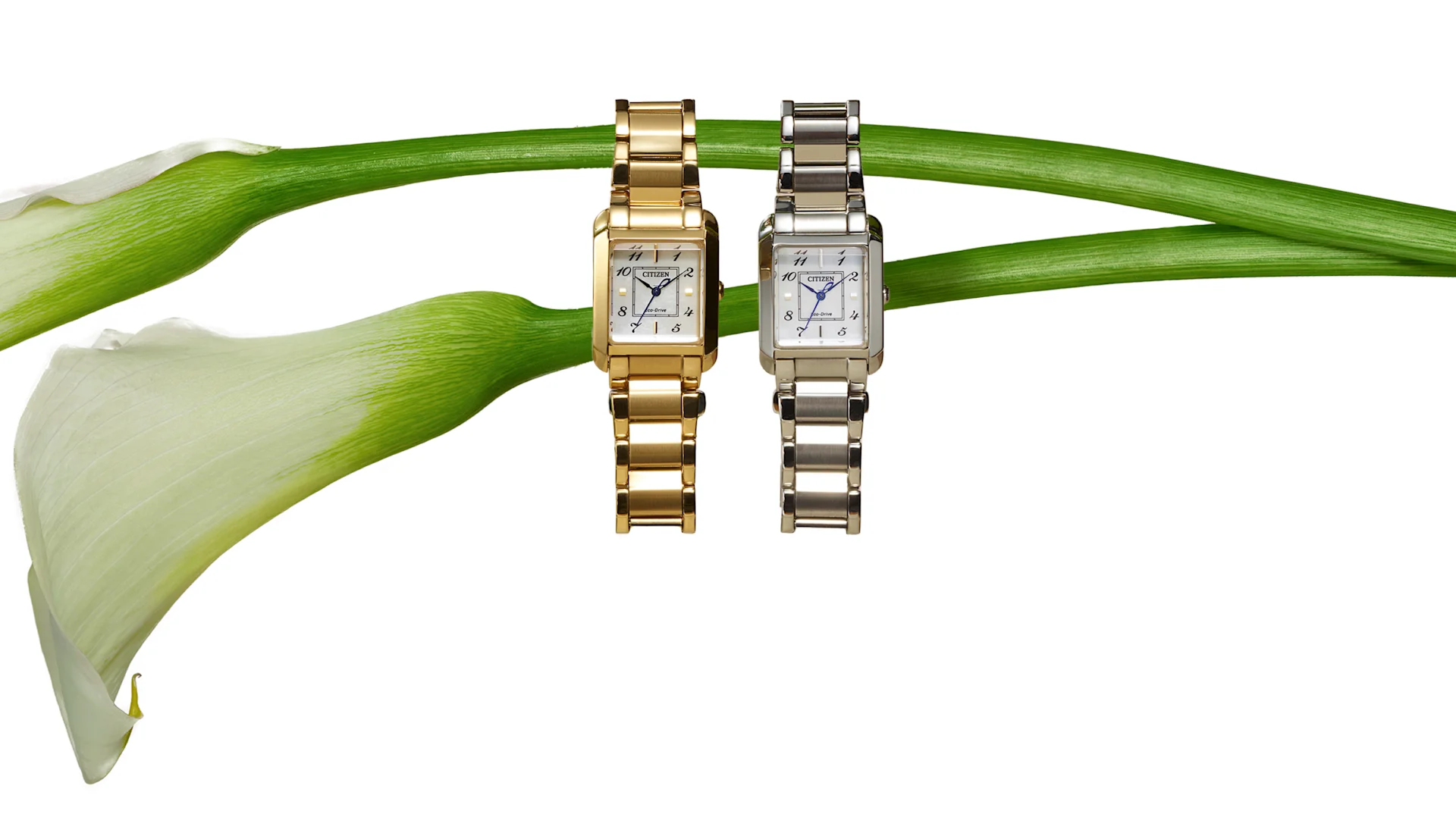 Women's Bianca Hero Image