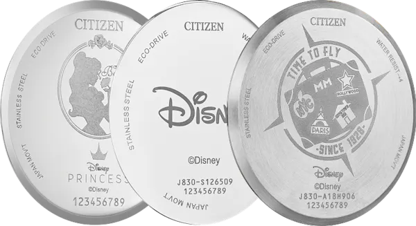 Disney In Grid Engraving Image