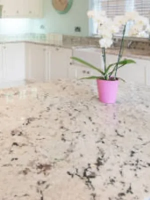Neutral granite kitchen island with white orchid plant in pink pot.