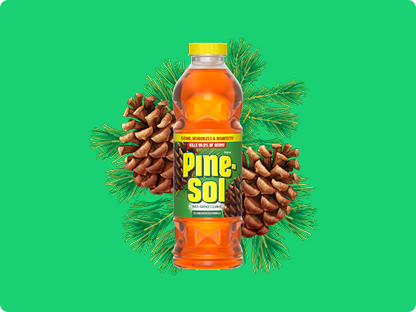 Bottle of Pine-Sol Original multi-surface cleaner with pine cones in background, kills 99.9% of germs.
