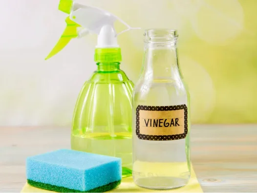 Bottle of vinegar, light green translucent spray bottle half-filled and blue sponge-scourer.