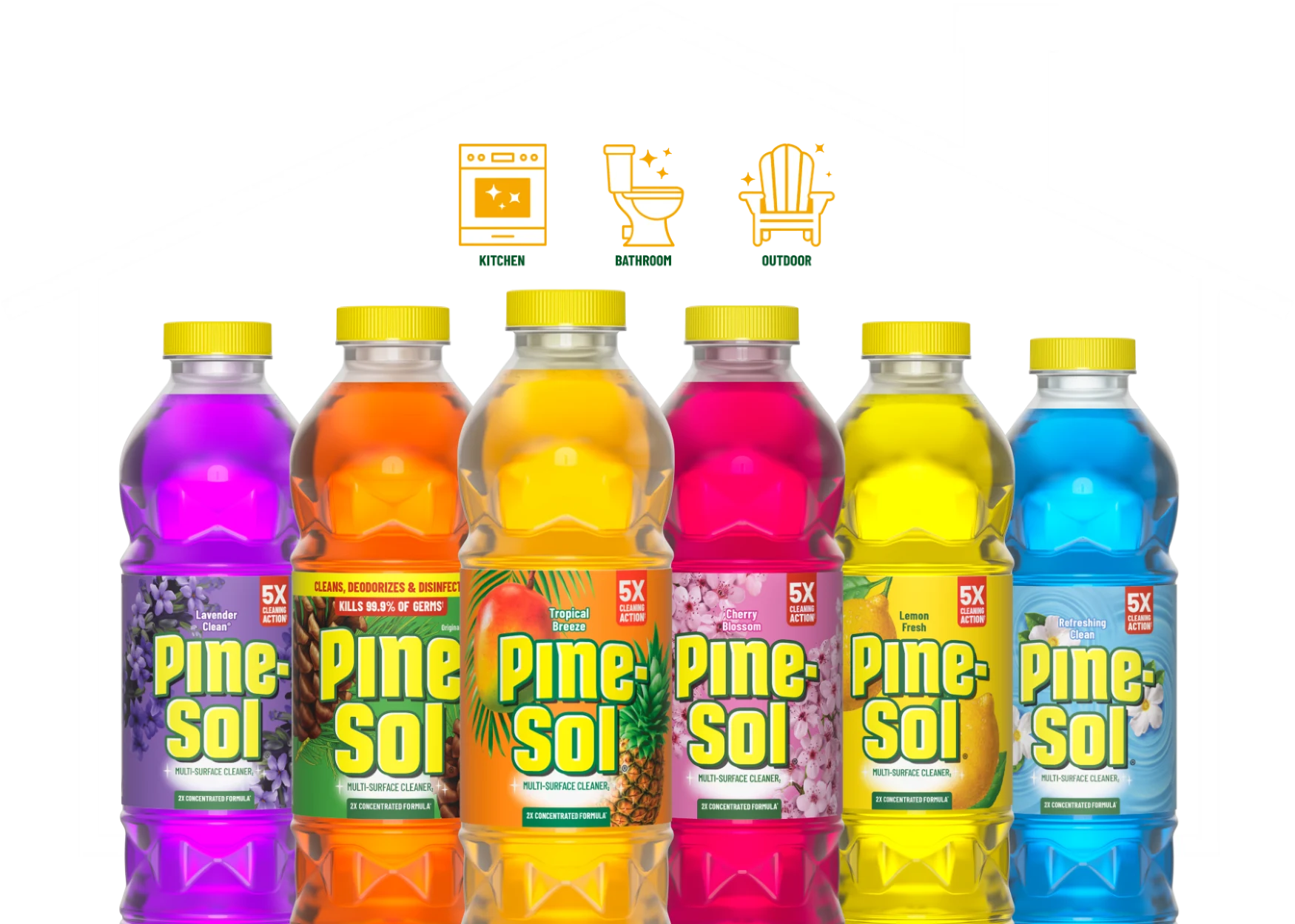Line up of Pine-Sol products inside the outline of a house with icons for kitchen bathroom and outdoor