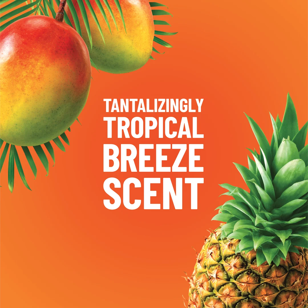 Las palabras AROMA A BRISA TROPICAL TENTADORA con mangos y piña en los bordes