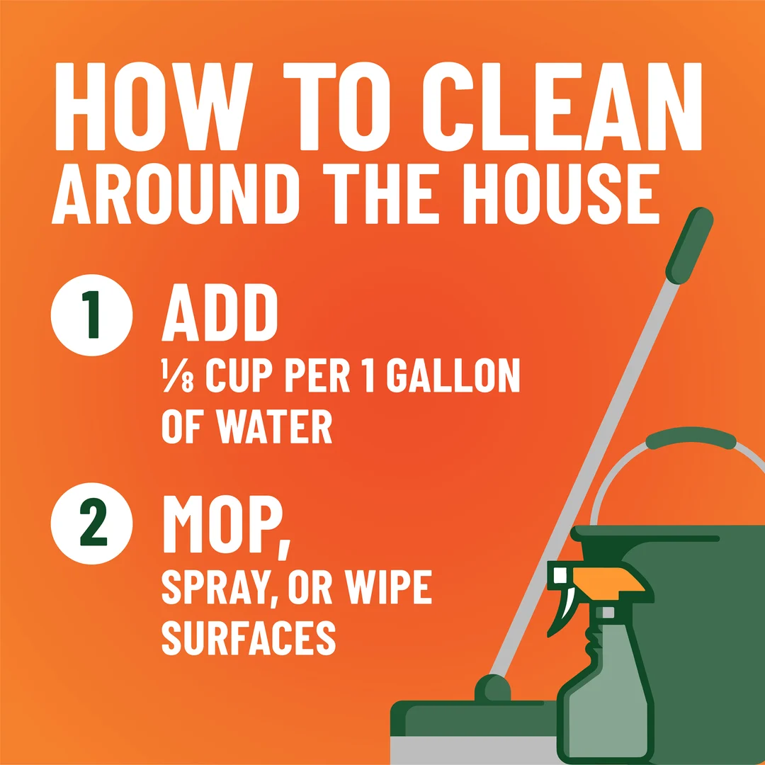 The words HOW TO CLEAN AROUND THE HOUSE with 2 steps