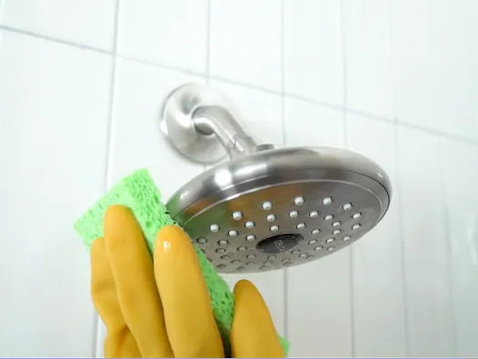 Gloved hand using green sponge to wipe stainless steel shower head.