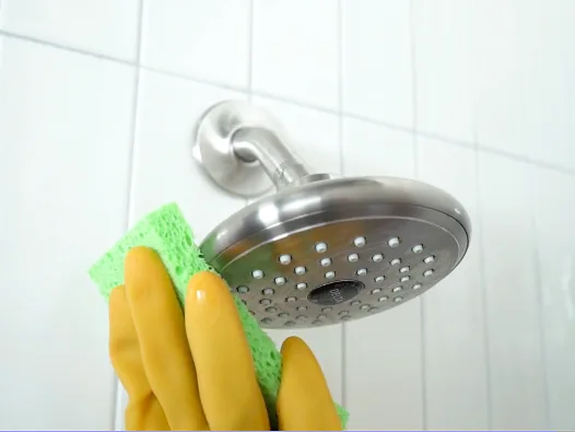 Gloved hand using green sponge to wipe stainless steel shower head.