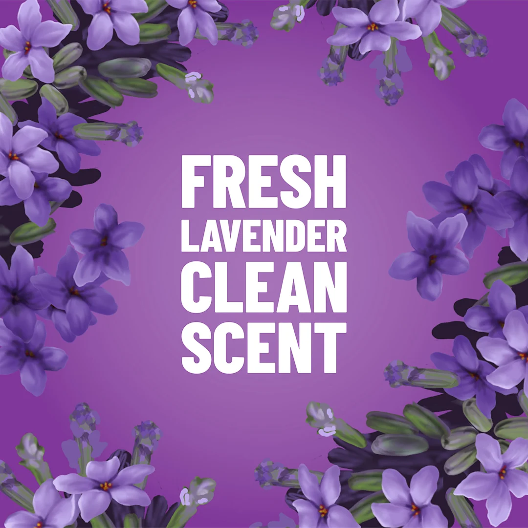 The words Fresh Lavender Clean Scent on a purple background with lavender flowers on the edges