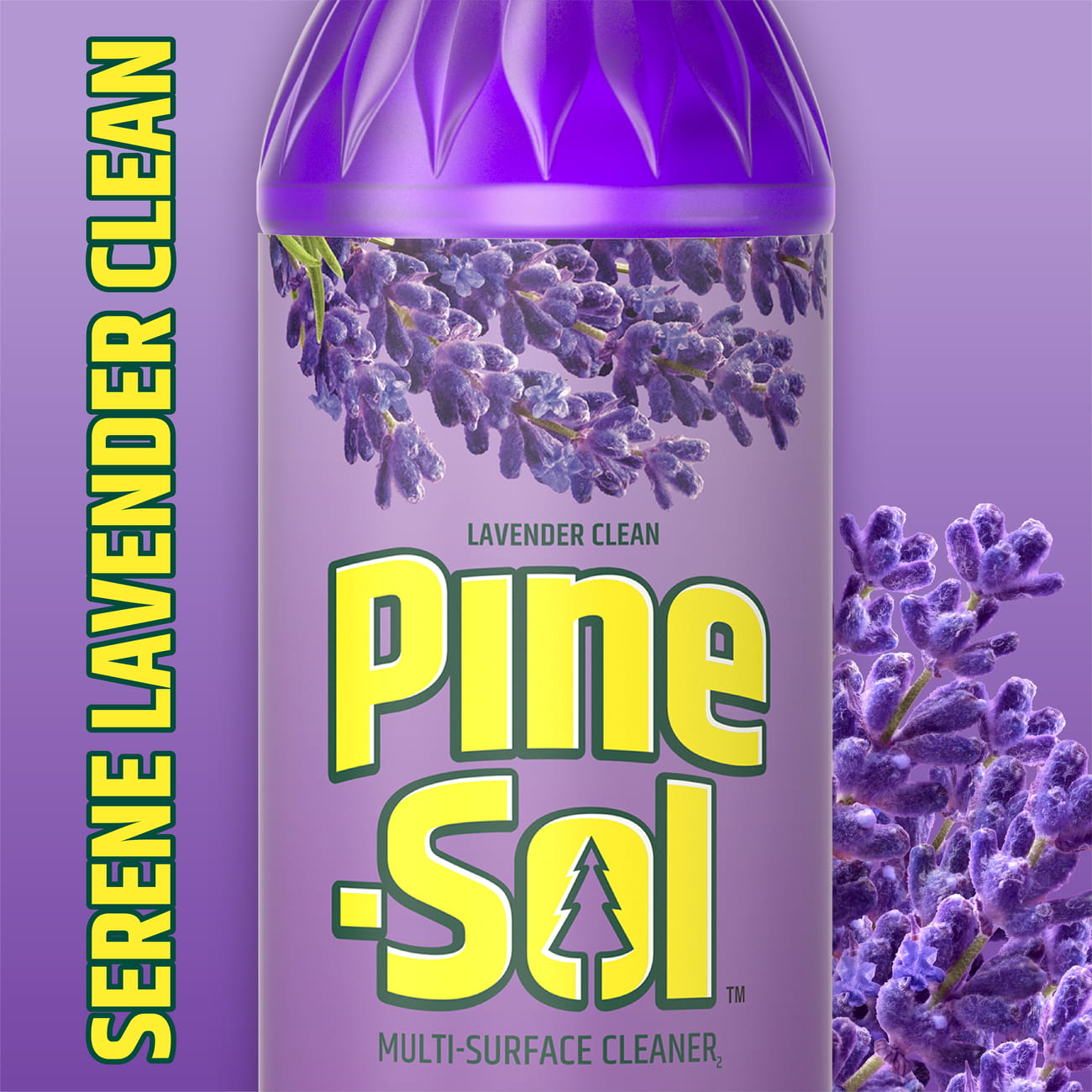 Pine-Sol Lavender Clean | Pine-Sol™