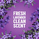Miniatura del aroma limpio de lavanda fresca