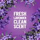 Las palabras Fresh Lavender Clean Scent sobre un fondo morado con flores de lavanda en los bordes.