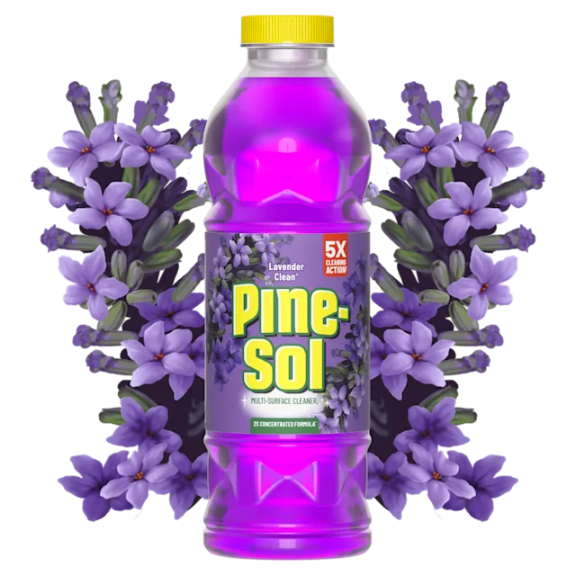Bottle of Pine-Sol Lavender Cleaner cleaner with lavender in background.