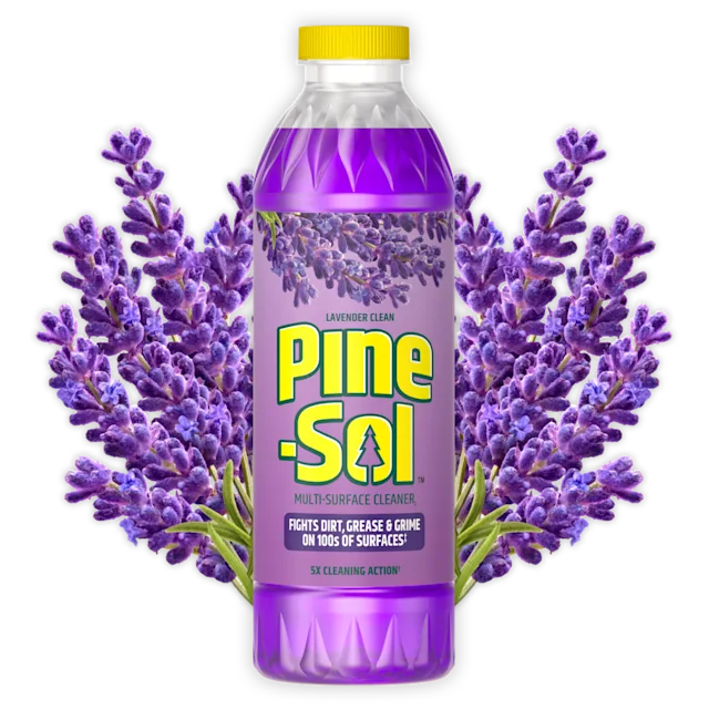 Bottle of Pine-Sol Lavender Cleaner cleaner with lavender in background.