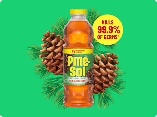 Pine-Sol Spazzola per piatti con manico lungo – Spazzola da cucina con setole morbide, sicura con pentole antiaderenti, plastica