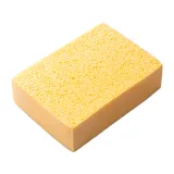 yellow sponge