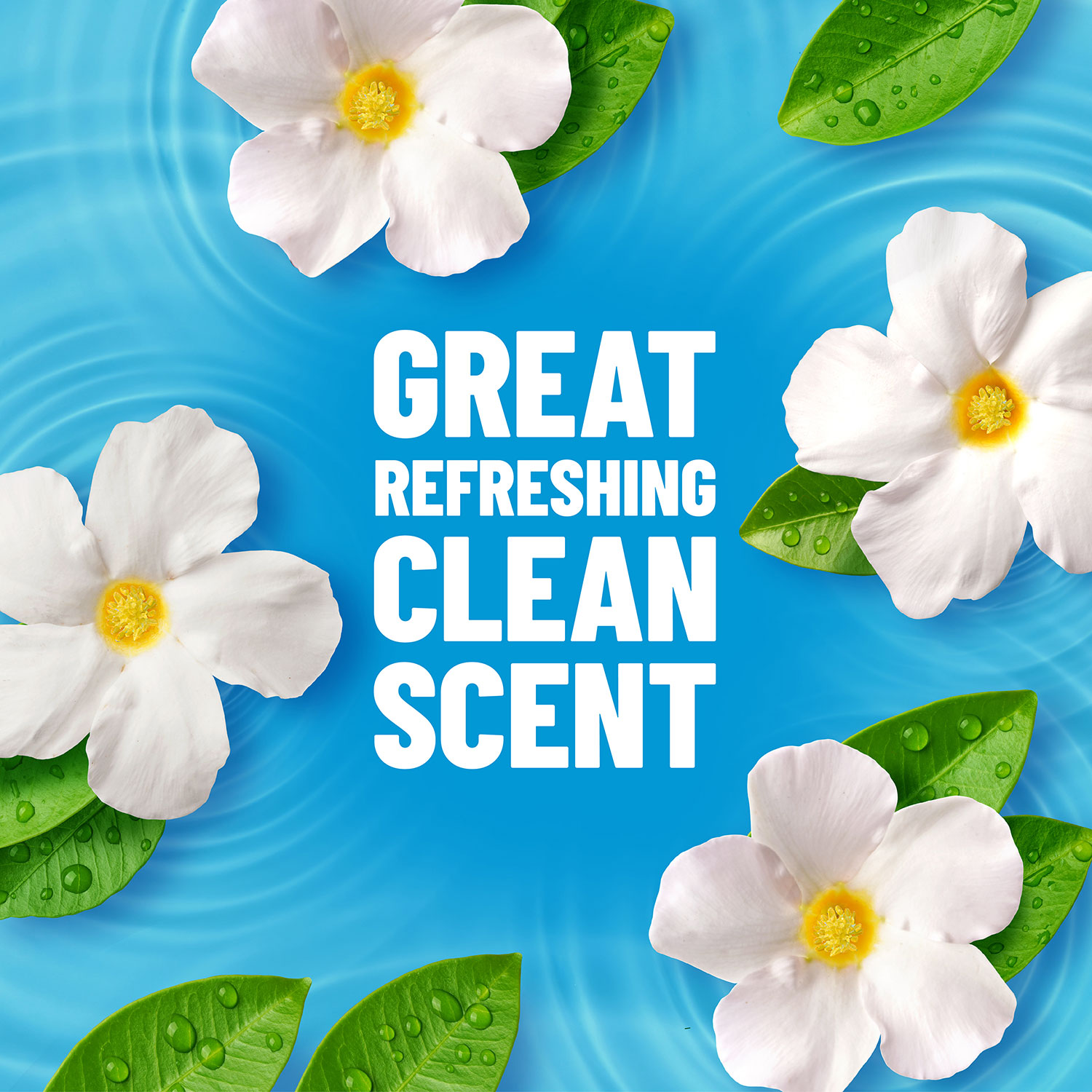 Great Refreshing Clean Scent Image