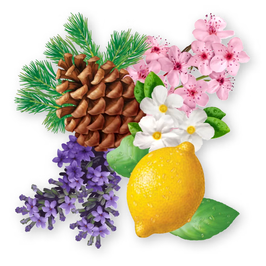 Pine cone with pine needles, cherry blossoms & flowers, a lemon, lavender sprigs.