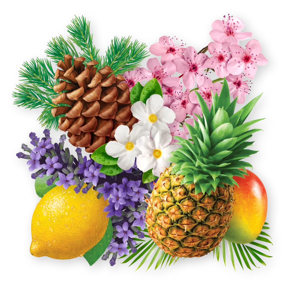 Pine cone with pine needles, cherry blossoms & flowers, a lemon, lavender sprigs.