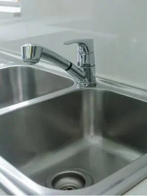 stainless steel dual sink