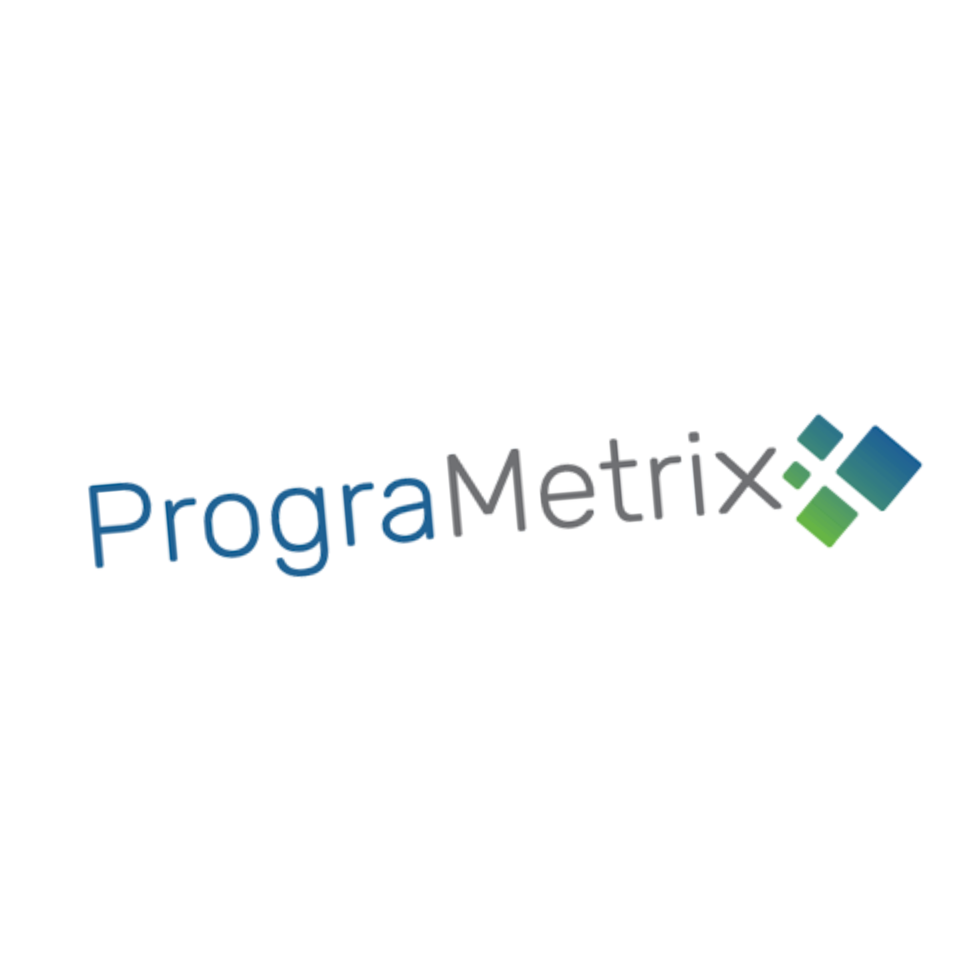 PMetrix logo
