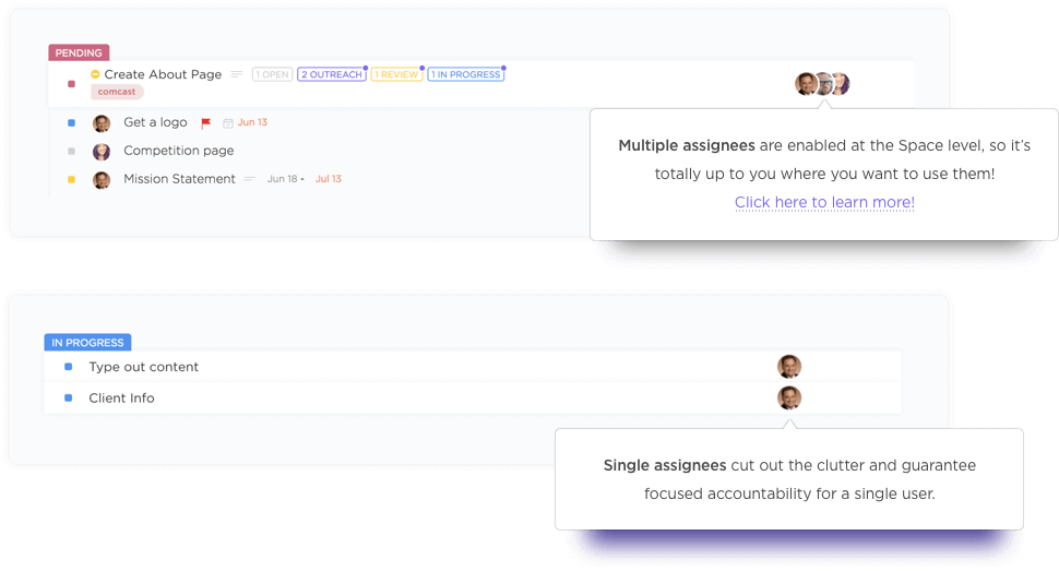 Single vs. Multiple Assignees