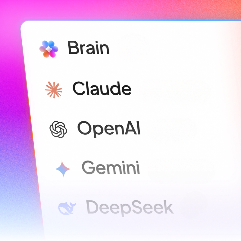 Brain LLMS 800 x 800