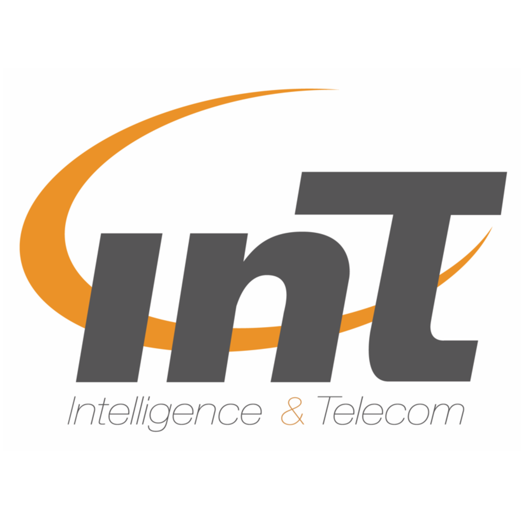 INT Logo