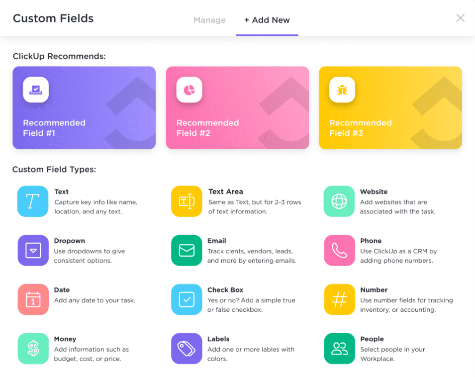 Custom Fields