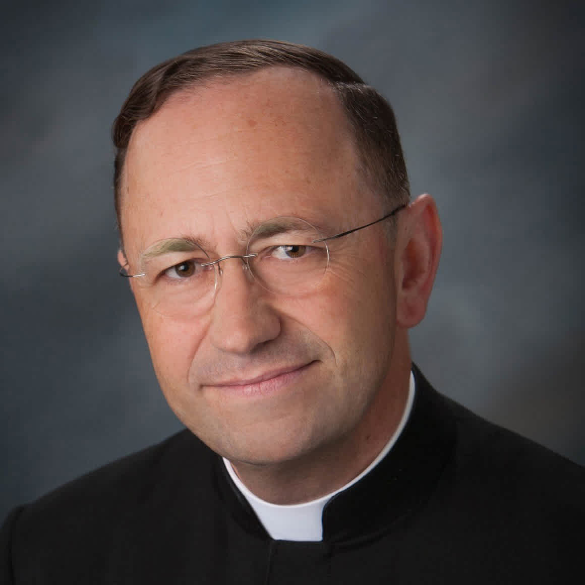 Fr. Vernoy image
