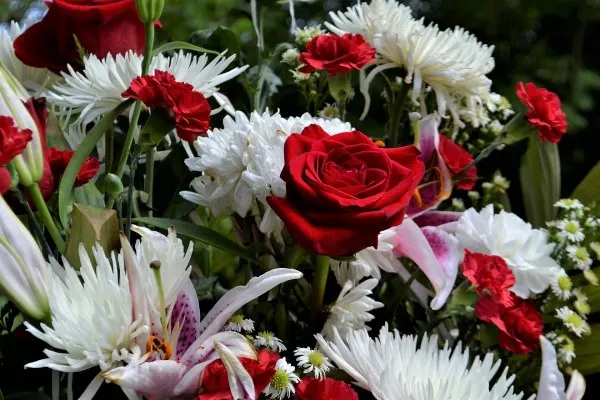 flowers