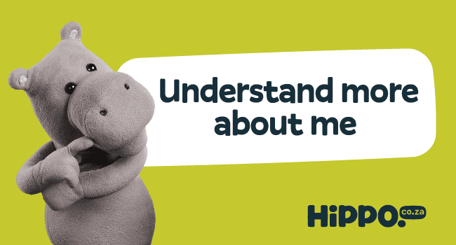 The truth about who owns Hippo and how it works