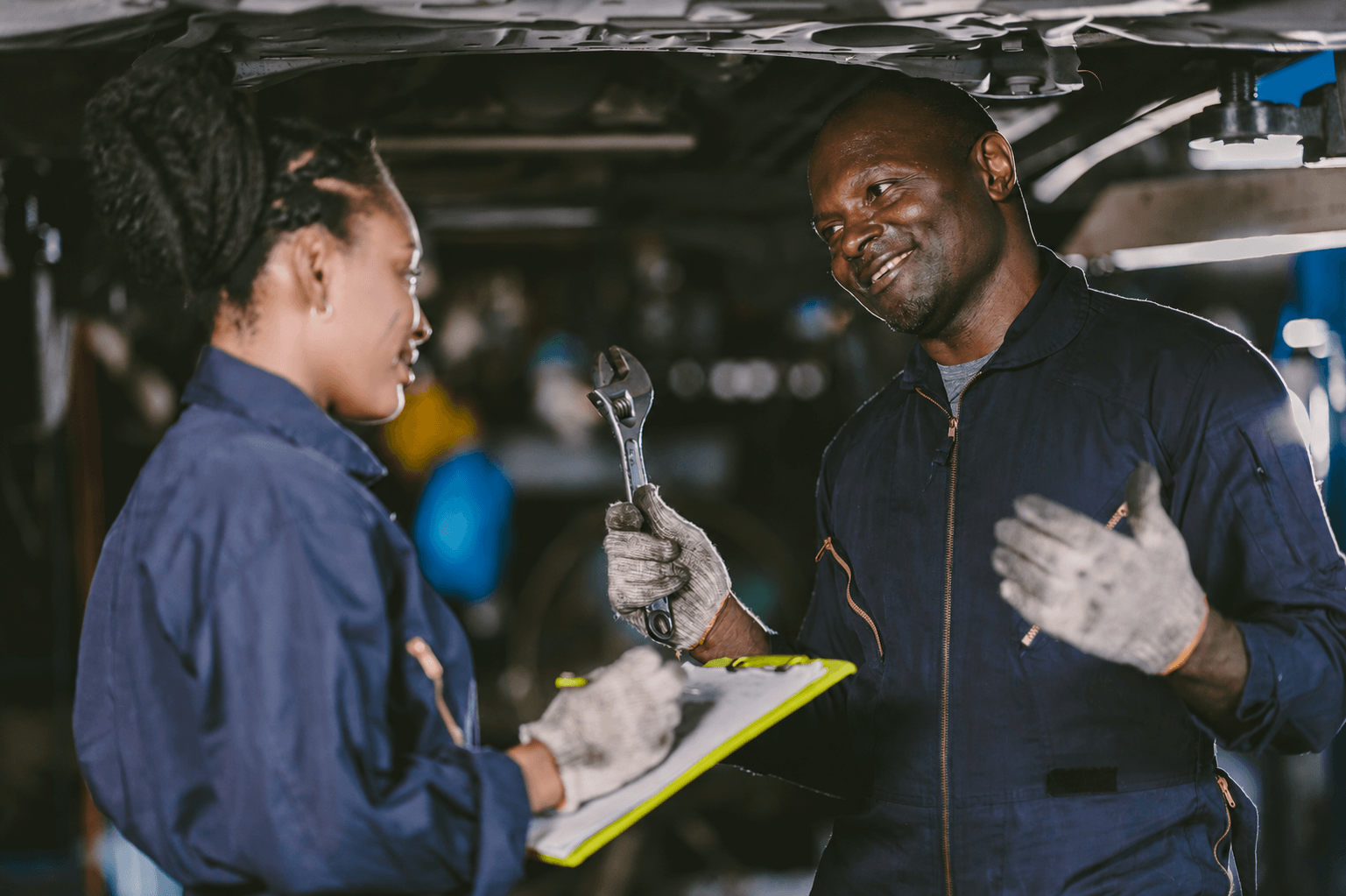 Ask Hippo about Service Plans