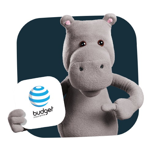 Hippo