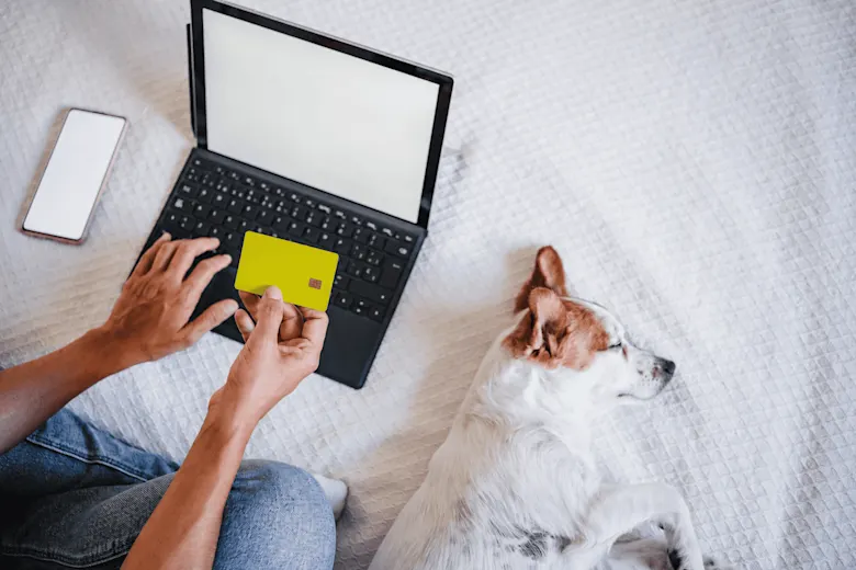6 reasons you need Pet Insurance in South Africa