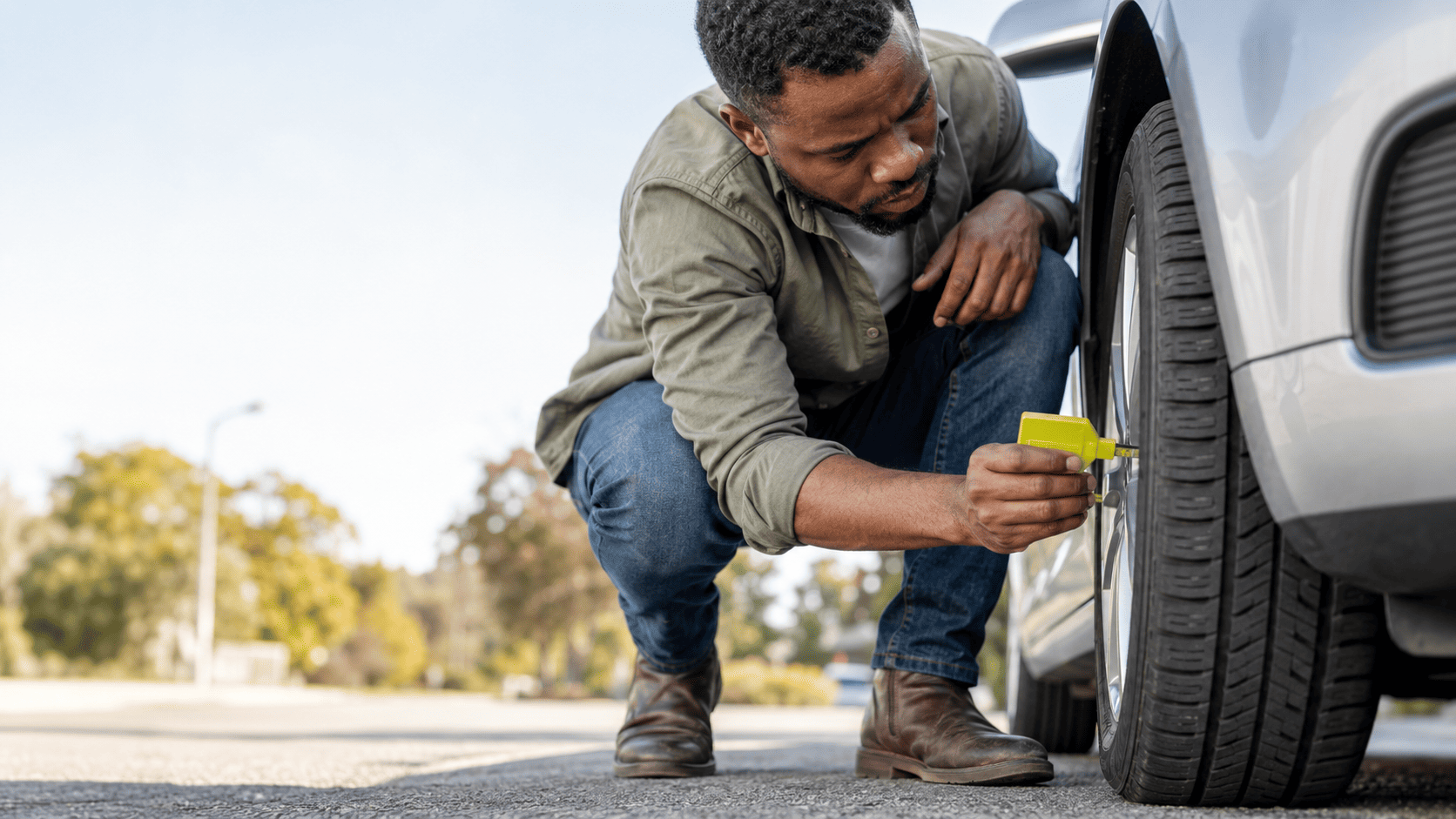 Ask Hippo about Tyre and Rim Cover