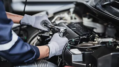 Ask Hippo about Motor Warranty