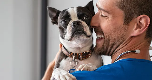article-image-petvaccination