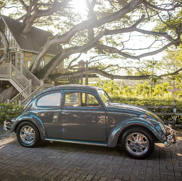 volkswagen-beetle
