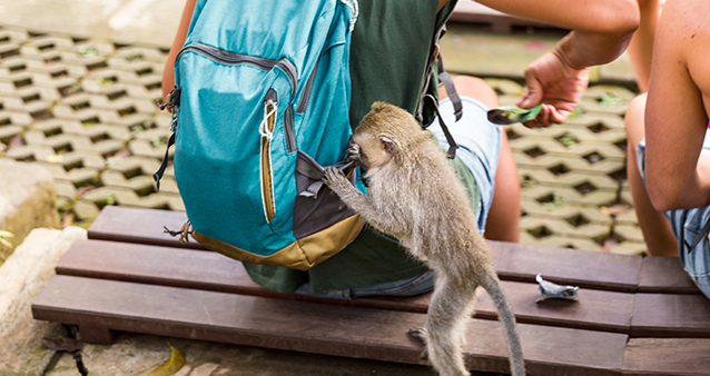 5 bonkers Travel Insurance claims