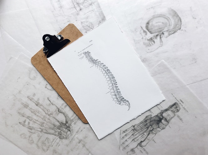 Why your bone health matters