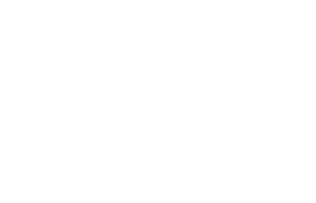 SV.it 614 winline lg