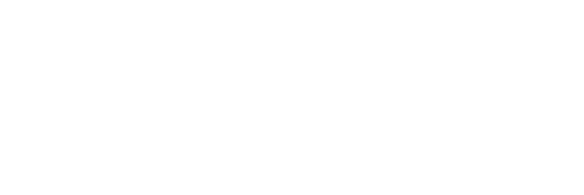 SV.it 3129 winline lg