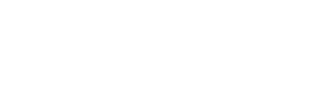 SV.it 733 winline lg