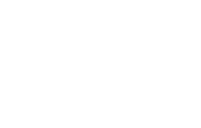 SV.it 200 winline lg