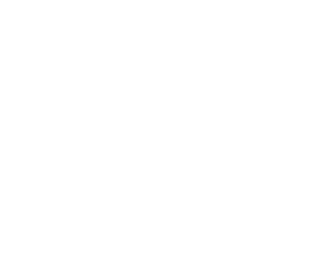 SV.it 10264 winline lg