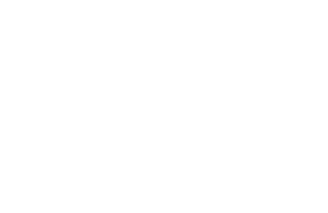 SV.it 1203 winline lg