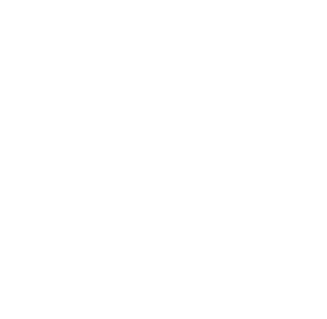 SV.it 3393 winline lg