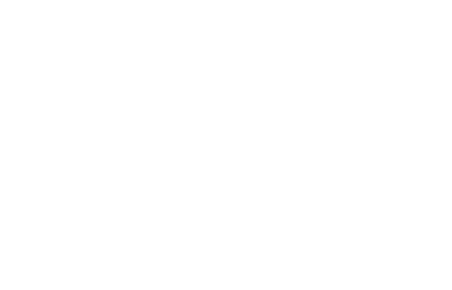 SV.it 556 winline lg