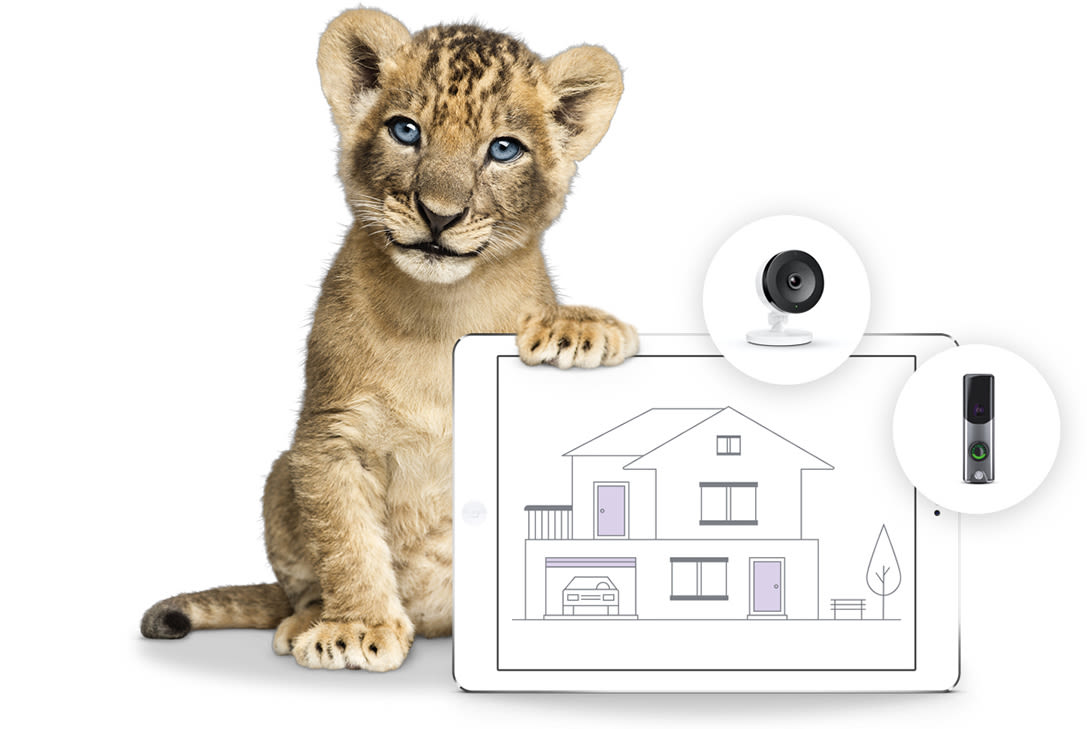 lion with tablet