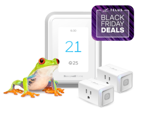 A frog is standing next to a smart thermostat and two smart plugs, displaying a roundel that says, Black Friday Deals.