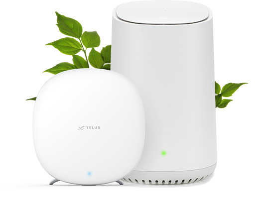 Home Internet Plans Internet Plans Packages Telus